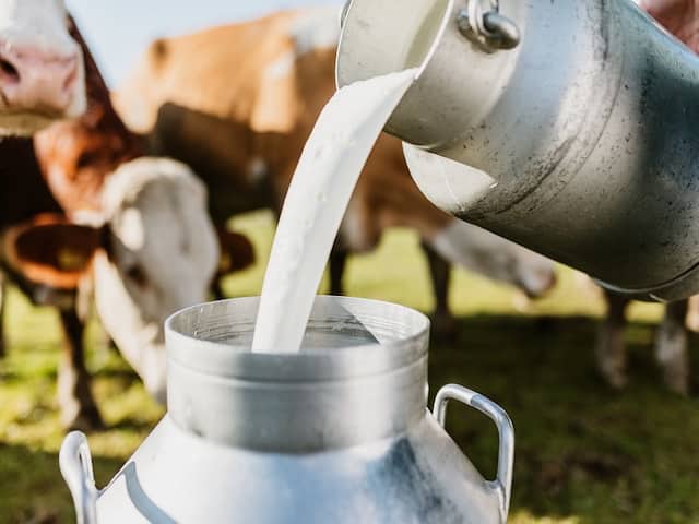 Hingoli Milk Production News 15 to 20 percent reduction in milk collection  due to increasing temperature | Milk Production: वाढत्या तापमानामुळे दूध  संकलनात 15 ते 20 टक्क्यांची घट, शेतकरी आर्थिक ...
