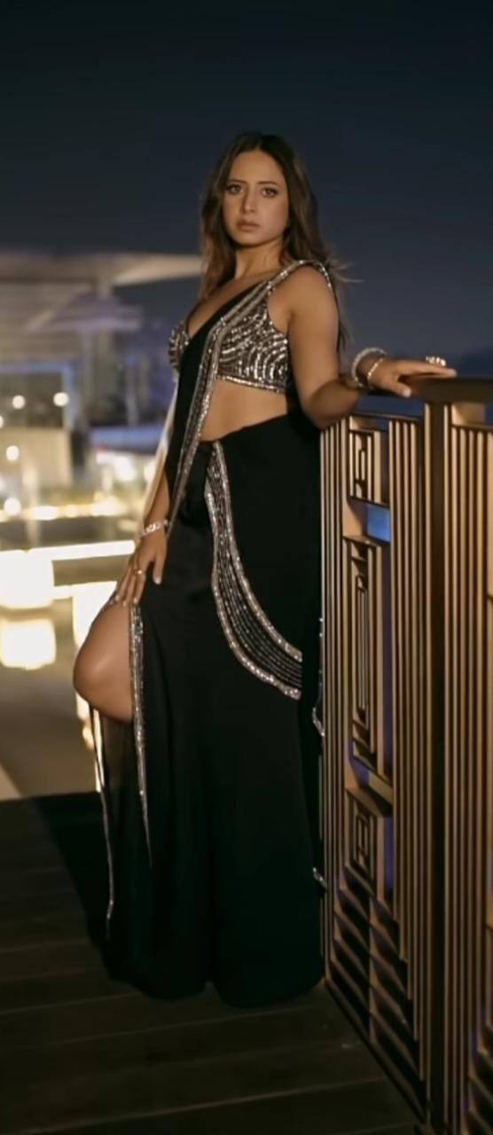 ਉਸ ਨੇ ਆਪਣੇ 8 ਸਾਲ ਦੇ ਫਿਲਮੀ ਕਰੀਅਰ 'ਚ ਪੰਜਾਬੀ ਇੰਡਸਟਰੀ ਨੂੰ ਇੱਕ ਤੋਂ ਵਧ ਕੇ ਇੱਕ ਸੁਪਰਹਿੱਟ ਫਿਲਮ ਦਿੱਤੀ ਹੈ।