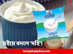 দইকে লিখতে হবে ‘দহি’! গোড়াতেই টকে গেল মেজাজ, জোর করে হিন্দি চাপানোর অভিযোগে সরব দক্ষিণের রাজ্যগুলি