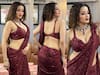 Monalisa Photos in Saree: मेहरून साड़ी में मोनालिसा ने कराया फोटोशूट, कातिलाना पोज देख फिर मचला फैंस का दिल