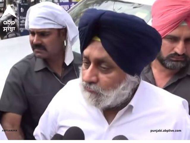 Jalandhar Bypoll: Shiromani Akali Dal president Sukhbir Badal take action against punjab government Jalandhar Bypoll: ਸ਼੍ਰੋਮਣੀ ਅਕਾਲੀ ਦਲ ਦੇ ਪ੍ਰਧਾਨ ਸੁਖਬੀਰ ਬਾਦਲ ਦਾ ਮਾਨ ਸਰਕਾਰ 'ਤੇ ਹਮਲਾ, ਕਿਹਾ- ‘ਪੰਜਾਬ ਦੇ ਨੌਜਵਾਨਾਂ ਨੂੰ ਜੇਲ੍ਹਾਂ 'ਚ ਧੱਕ ਰਹੀ ਹੈ ਸਰਕਾਰ’