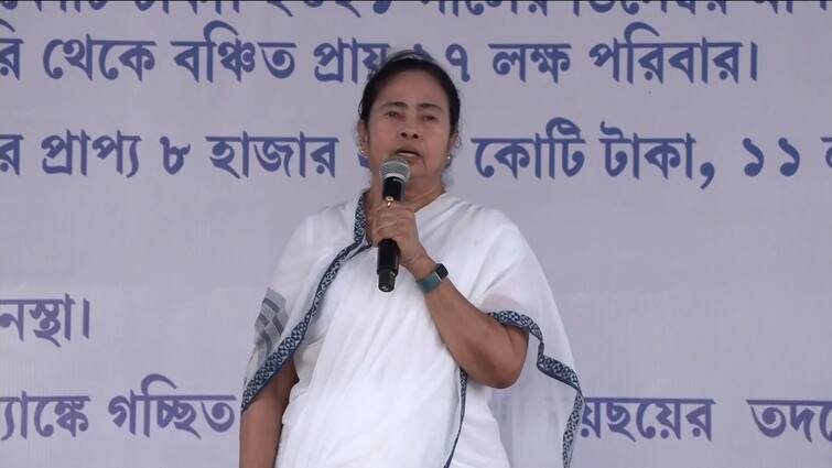 Kolkata Has Turned Better Than London Claims CM Mamata Banerjee From Red Road Protest CM Mamata Banerjee:'বলেছিলাম কলকাতাকে লন্ডন করব, তার থেকেও ভালো করেছি', দাবি মুখ্যমন্ত্রীর