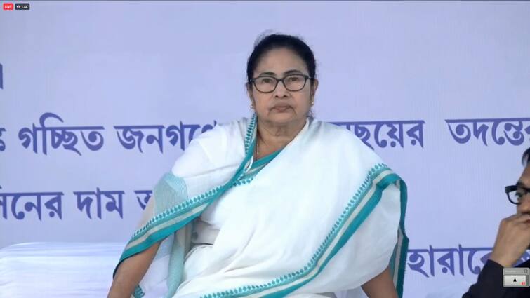 CM Mamata Banerjee Criticizes Center On Adani Connection From Connection CM Mamata Banerjee: 'আদানির জন্য এলআইসি বেচে দিলেন', ফের কেন্দ্রকে আক্রমণ তৃণমূলনেত্রীর