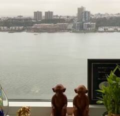 ਮੁੰਬਈ ‘ਚ ਸੀ-ਫੇਸਿੰਗ ਲਗਜ਼ਰੀ ਘਰ ਵਿੱਚ ਰਹਿੰਦੇ ਨੇ ਅਨੁਪਮ ਖੇਰ, ਦੇਖੋ ਤਸਵੀਰਾਂ