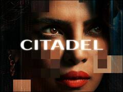 घर बैठे देखें प्रियंका चोपड़ा की स्पाई ड्रामा 'सिटाडेल', जानिए कब और किस OTT प्लेटफॉर्म पर होगी रिलीज
