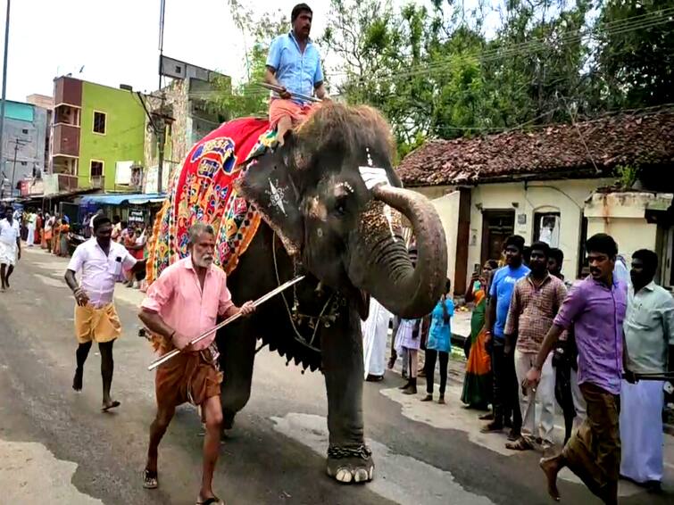 Sirkazhi Vaitheeswaran Temple Fox Driving Festival TNN வைத்தீஸ்வரன் கோயில்  நரி ஓட்ட நிகழ்வு  - திரளான பக்தர்கள் சுவாமி தரிசனம்