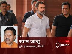 राहुल पर जर्मनी का बयान आंतरिक मामलों में हस्तक्षेप, मोदी सरकार के खिलाफ काम कर रहीं विदेशी ताकतें