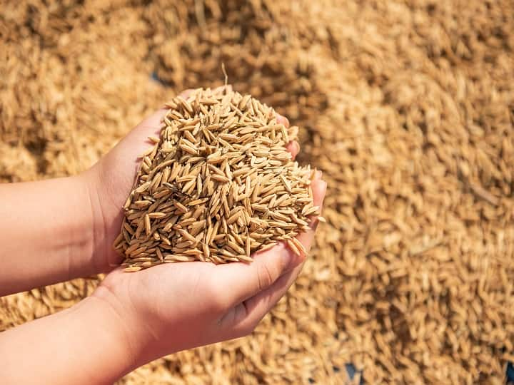 The weather department announced the good news to the farmers! There will be a lot of rain in the paddy season Weather Update: ਮੌਸਮ ਵਿਭਾਗ ਨੇ ਕਿਸਾਨਾਂ ਨੂੰ ਸੁਣਾਈ ਖੁਸ਼ਖਬਰੀ! ਝੋਨੇ ਦੇ ਸੀਜ਼ਨ 'ਚ ਹੋਏਗੀ ਖੂਬ ਬਾਰਸ਼