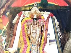 மயிலாடுதுறை: பரிமளரெங்கநாதர் மல்லியம் கிராமத்திற்கு எழுந்தருளி காட்சி கொடுக்கும் ஐதீக விழா