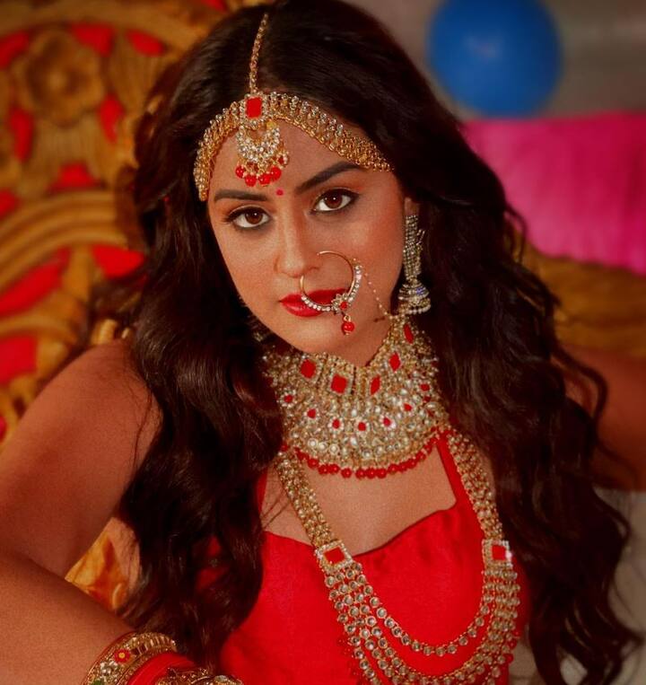 યામિની સિંહે એન્જિનિયરિંગનો અભ્યાસ અધવચ્ચે જ છોડી દીધો અને ફિલ્મી પડદે પ્રવેશ કર્યો. પરંતુ અભિનેત્રીનો પરિવાર આ વિવાદથી નાખુશ જણાતો હતો.