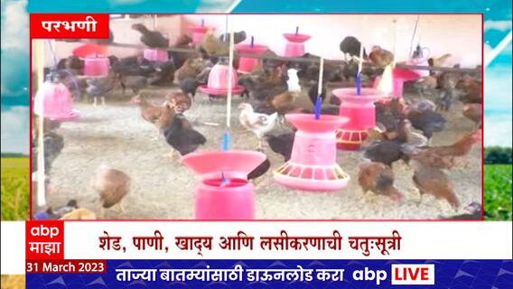 Saat Barachya Batmya 712 :Agriculture news : कुक्कुटपालन करताना काय काळजी घ्यावी : ABP Majha