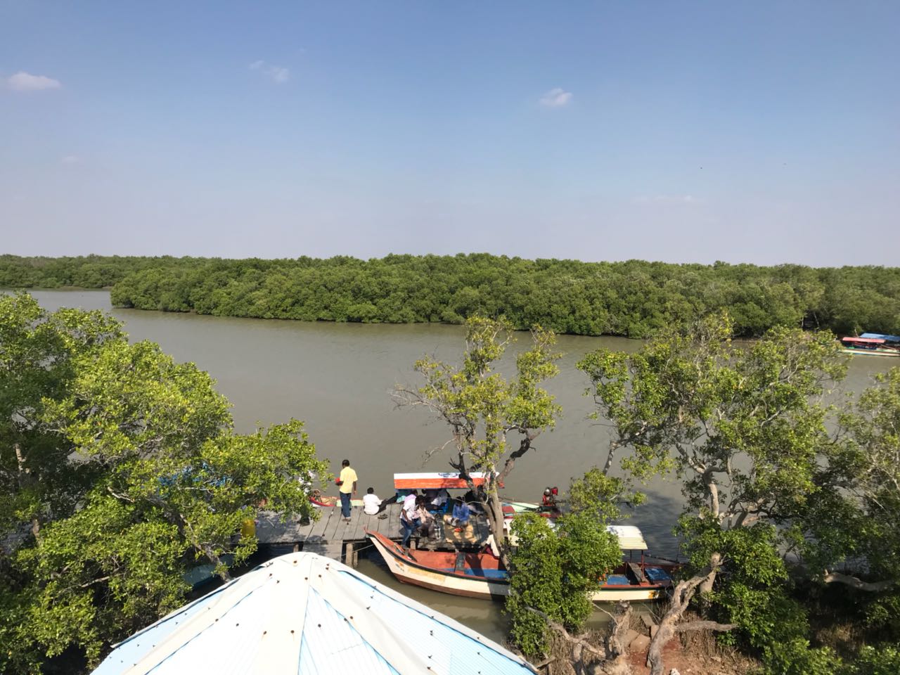 Thiruvarur Mangrove Forest: முத்துப்பேட்டை அலையாத்தி காடு; படகுகள் பற்றாக்குறையால் சுற்றுலா பயணிகள் அவதி