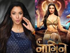 TRP List: रेस में फिर आगे निकलीं अनुपमा, देखिए टॉप 5 में कौन-कौन सा शो हुआ शुमार, किसकी टीआरपी का हुआ बंटाधार