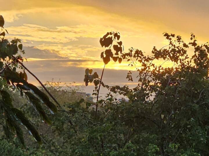 तेज बारिश की वजह से दिल्ली में के तापमान में गिरावट तो दर्ज की ही गई साथ ही हवा में शुष्कता की मात्रा बढ़ गई है. बारिश की वजह मौसम ठंडा हो गया है. दिल्ली-एनसीआर में हुई बारिश ने मौसम सुहाना कर दिया है. आसमान में बादल छाए हैं जिसकी वजह से आसमान का नजारा देखते बन रहा है.