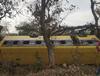 Jalgaon School Bus Accident : स्कूल बसचे स्टेअरिंग रॉड तुटून चालकाचे नियंत्रण सुटलं, बस झाडाला आदळली, 25 ते 30 विद्यार्थी जखमी