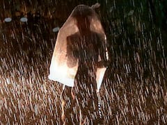 बिहार के इन इलाकों में आज बारिश का अलर्ट, जानिए-अगले तीन दिन तक कैसा रहेगा मौसम