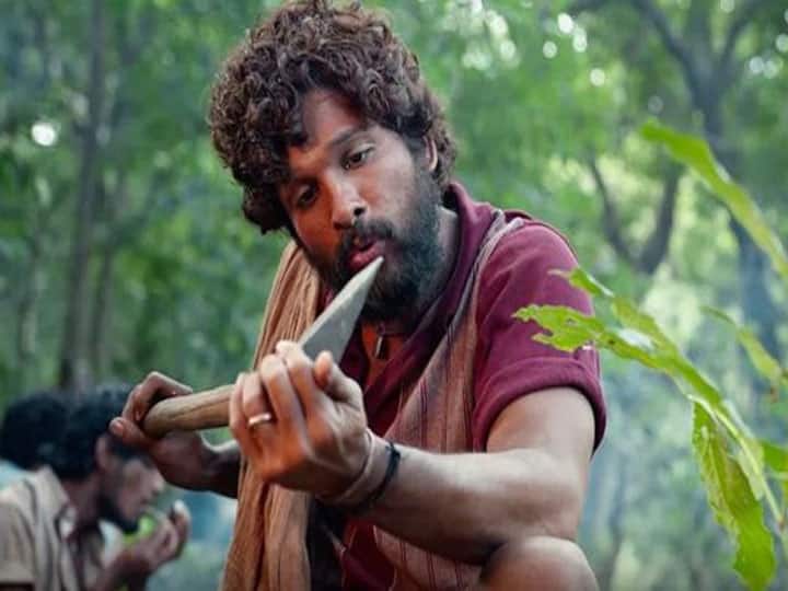 Pushpa 2: क्यों 3 महीने के लिए ठप हुई अल्लू अर्जुन की फिल्म 'पुष्पा 2' की शूटिंग, जानें किस बात ने किया निर्देशक को परेशान
