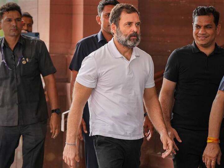 Rahul Gandhi Karnataka Visit: सांसदी जाने के बाद राहुल गांधी करेंगे कर्नाटक का चुनावी दौरा, कोलार में करेंगे रैली, फिर जाएंगे वायनाड