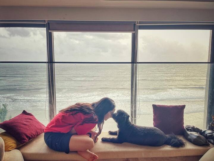 वैसे तो श्रद्धा एक स्टार किड हैं लेकिन बॉलीवुड में अपने माता पिता से अलग हटकर उन्होंने अपना नाम अपने काम से बनाया है.