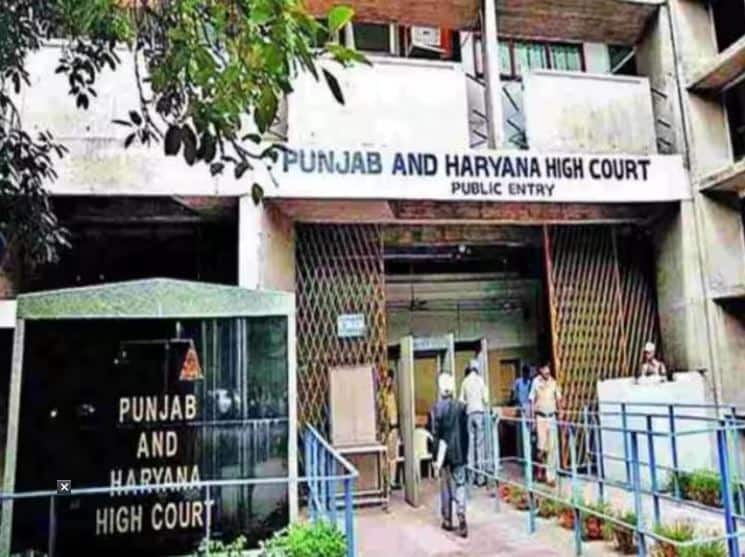 Punjab And Haryana High Court Says Live In Relationship Is Lustful Life Without Divorce