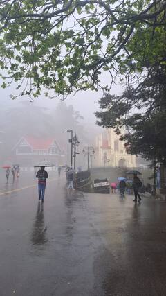 Himachal Weather Update: हिमाचल में एक बार फिर शुरू हुई बारिश और बर्फबारी, मौसम विभाग ने जारी किया ऑरेंज अलर्ट