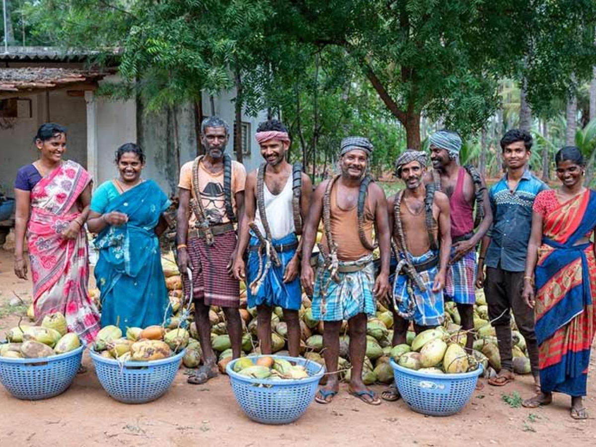 “भारत जगासाठी अन्नधान्याचे भांडार बनू शकतो.” एकत्रित शेतीवर लक्ष केंद्रित केलं पाहिजे