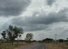 Weather : पुढील 5 दिवस महाराष्ट्रात अवकाळी पावसाची शक्यता नाही