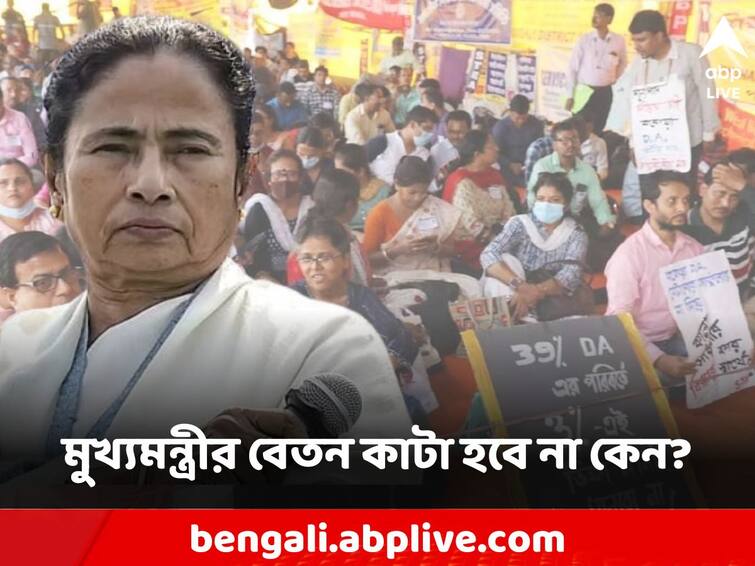 Mamata banerjee Dharna why her salary will not cut, DA protestors raise Question Mamata Banerjee: ধর্না দেওয়ার জন্য় মুখ্যমন্ত্রীর বেতন কাটা হবে না কেন? প্রশ্ন তুললেন DA আন্দোলনকারীরা