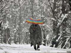 Rains Lash Parts Of J&K, Higher Regions Likely To Witness Snowfall