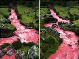 नदी में बहने लगा खून के जैसा लाल रंग का पानी, वीडियो देख हर कोई हैरान... जानिए ऐसा क्यों हुआ?