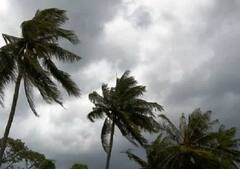 Weather : पुढील 5 दिवस महाराष्ट्रात अवकाळी पावसाची शक्यता नाही