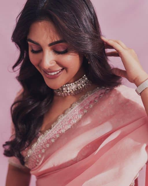 కేరళ కుట్టి సంయుక్త మీనన్.. మలయాళం, తమిళం,కన్నడంతో పాటూ తెలుగులోనూ మంచి గుర్తింపు తెచ్చుకుంది.