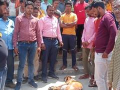 गिरिडीह में ग्रामीणों को जख्मी हालत में मिला हिरण, जताई गई शिकार की कोशिश की आशंका