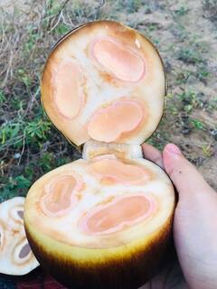 Summer drinks recipes : வெயில் உங்களை வாட்டி வதைக்கிறதா? இருக்கவே இருக்கு குளிர்ச்சியுட்டும் குளு குளு நுங்கு ஜுஸ்!