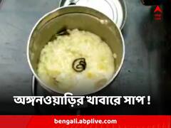 অঙ্গনওয়াড়ির খাবারে সাপ ! নদিয়ায় অসুস্থ কয়েকজন শিশু, তুমুল শোরগোল