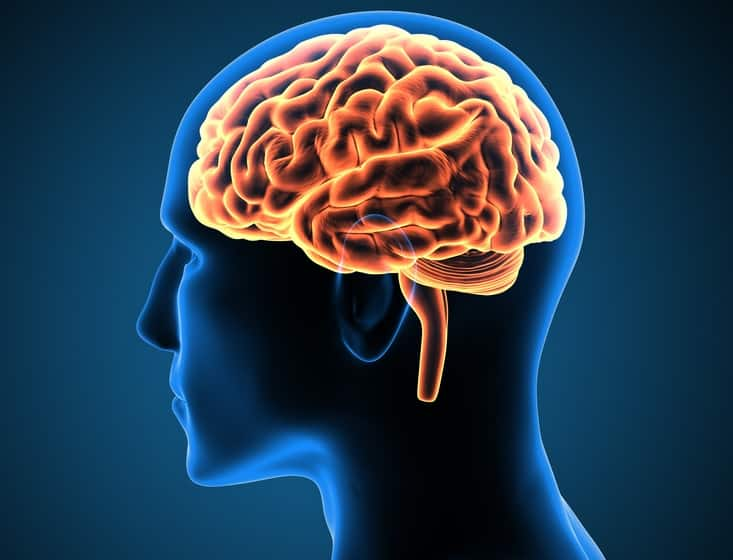 Brain : What is The Temperature of Our Brain Brain : મહિલા કે પુરૂષમાંથી કોનું મગજ વધુ ગરમ? માસિક ધર્મ સાથે શું સંબંધ?