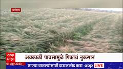 Washim Unseasonal Rain : वाशिममध्ये अवकाळी पाऊस, शेतकऱ्यांच्या हातातोंडाशी आलेला घास हिरावला