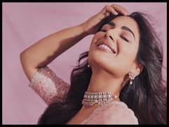 Samyuktha Menon: పింక్ శారీలో భీమ్లానాయక్ బ్యూటీ సంయుక్త మీనన్ ఎంత అందంగా ఉందో!