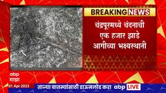 Chandrapur Crop Fire : देवतळेमधल्या शेतकऱ्याच्या शेतातील 1600 हजार झाडं आगीच्या भक्ष्यस्थानी