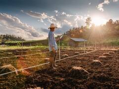 Farming In April: अप्रैल के महीने में उगाई जाने वाली ये फसलें कर देंगी मालामाल, कम समय में ही मिल जाएगी बंपर पैदावार
