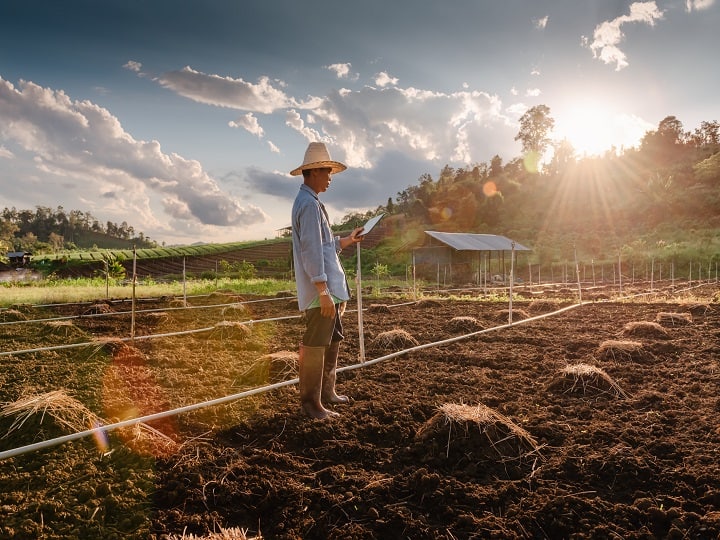 रबी फसलों की कटाई और खरीफ सीजन से पहले कुछ महीने बीच में खाली बच जाते हैं, जिसे जायद सीजन भी कहते हैं. इस दौरान कई दलहनी और तिलहनी फसलों बोई जाती हैं, जो धान मक्का की खेती से पहले ही तैयार हो जाती है. जायद सीजन में विशेष सब्जी फसलें भी बोई जाती हैं. इसके अलावा कई लोग मिट्टी की उपजाई शक्ति बढ़ाने के लिए जायद सीजन में ढेंचा, लोबिया और मूंग की खेती भी करते हैं. इससे मिट्टी में नाइट्रोजन का स्तर बढ़ जाता है.