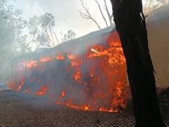 सांगलीत वनविभागाच्या गोदामाला भीषण आग, लाखो रुपयांच्या औषधी वनस्पती जळून खाक