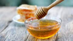 Benefits of Honey: સ્વાસ્થ્યને દુરસ્ત કરવામાં કારગર છે મધ, જાણો 5 અદભૂત ફાયદા