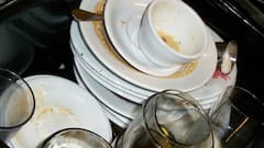 Kitchen Hack: সাবান ছাড়া এভাবেও বাসন মাজা সম্ভব, রইল ঘরোয়া টোটকা