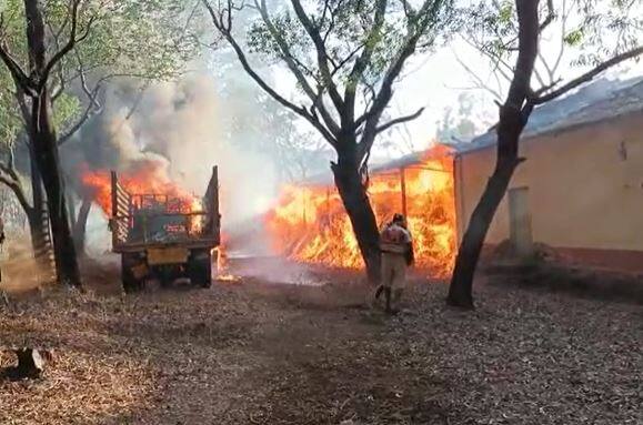 रात्री उशिरापर्यंत आग आटोक्यात आली नव्हती. वन्यजीव विभागाचे कोणीही वरिष्ठ अधिकारी घटनास्थळावर हजर झाले नव्हते.