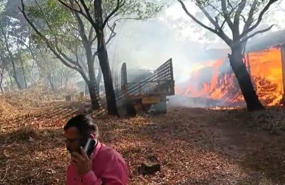 वनविभागाच्या ताब्यातील लाखो रुपयांच्या नरक्या ( औषधी वनस्पती) आगीत जळून खाक झाल्या आहेत.