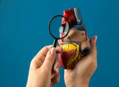 Heart Disease:  ਭਾਰਤ ਦੇ 66 ਫੀਸਦੀ ਲੋਕਾਂ ਨੂੰ ਇਸ ਕਰਕੇ ਦਿਲ ਦੀ ਬਿਮਾਰੀ ਦਾ ਖਤਰਾ… ਜਾਣੋ ਕਾਰਨ, ਰਿਪਰੋਟ ‘ਚ ਹੋਇਆ ਖ਼ੁਲਾਸਾ