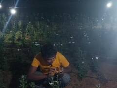 झारखंड के इस किसान के हौसले को सभी कर रहे सलाम, इस अलग तरीके से करते हैं फूलों की खेती