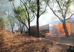 Sangli Fire : वनविभागाच्या गोदामाला आग, औषधी वनस्पती जळून खाक