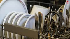 Kitchen Hack: সাবান ছাড়া এভাবেও বাসন মাজা সম্ভব, রইল ঘরোয়া টোটকা